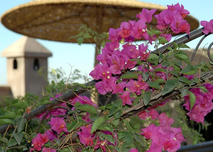 Riad Mehdia & Spa Marrakesh